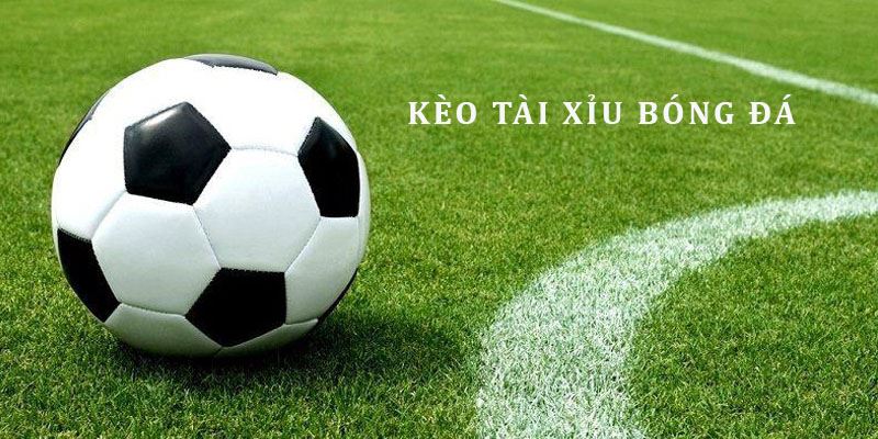 kèo tài xỉu