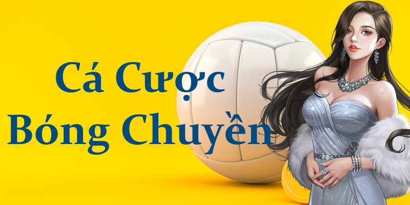 cá cược bóng chuyền