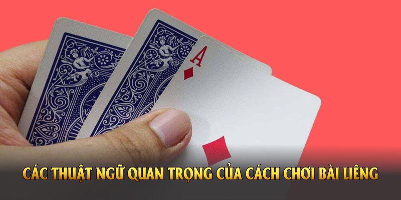 Các thuật ngữ quan trọng của cách chơi bài liêng tại nền tảng