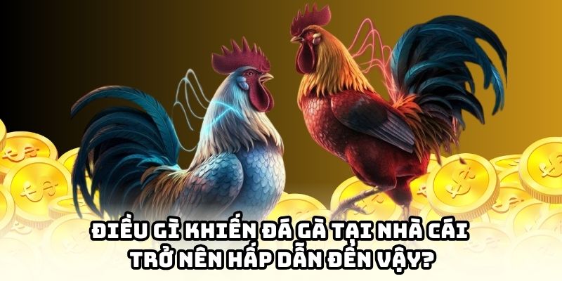 Sảnh cược là tâm điểm thu hút cược thủ hiện nay