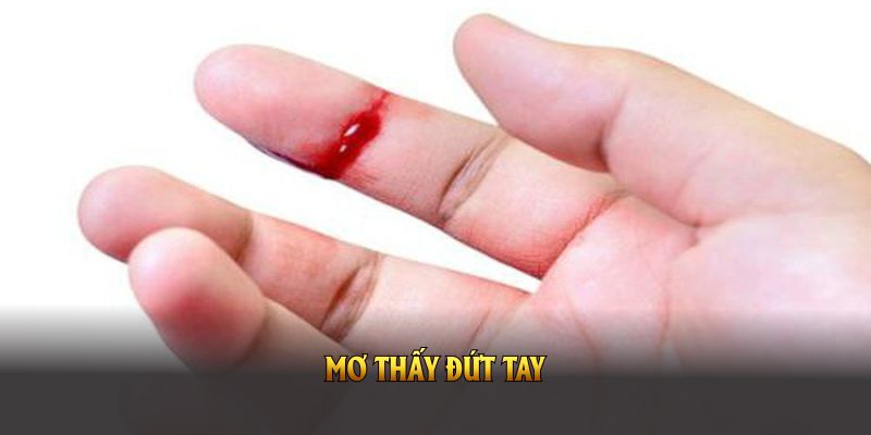 nằm mơ thấy đứt tay