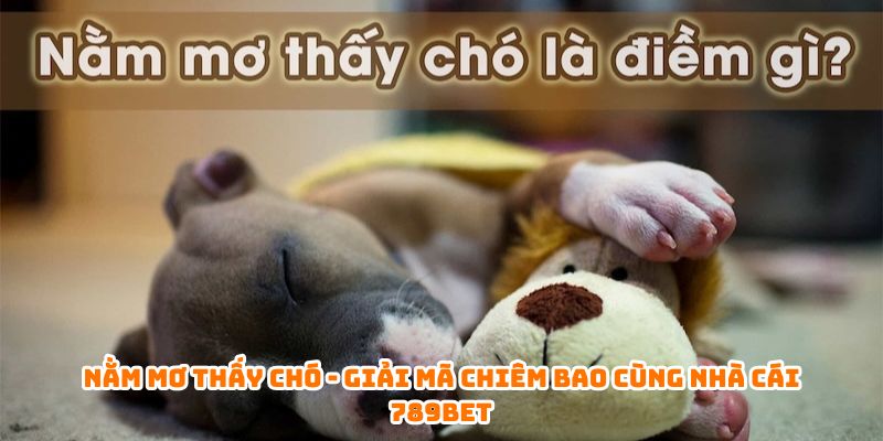 nằm mơ thấy chó
