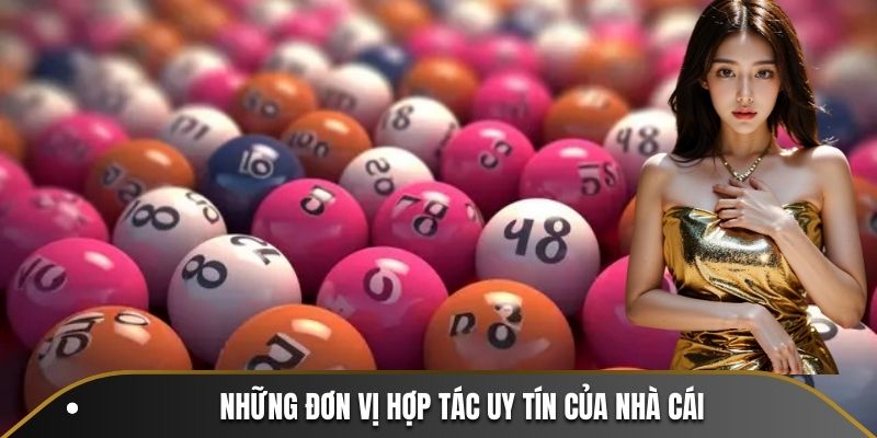 Những đơn vị hợp tác uy tín của nhà cái