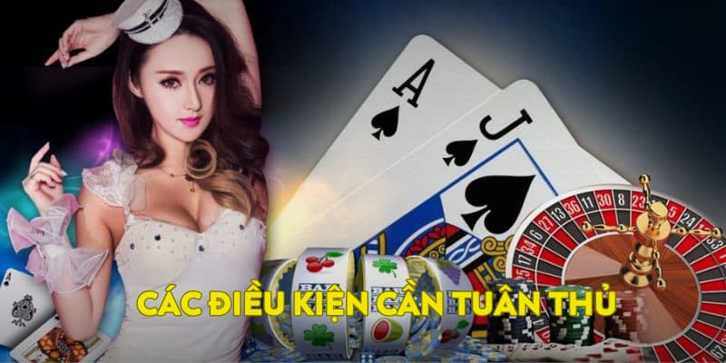 Các điều kiện cần tuân thủ
