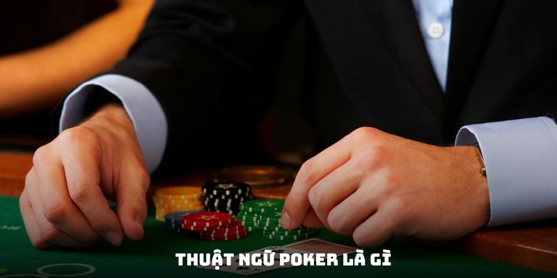 Thuật ngữ hội viên cần thuộc lòng trước khi chơi